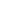 Custom Development Companion Systems
