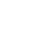 Custom Consulting Companion Systems